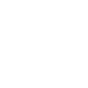 Export quality icon